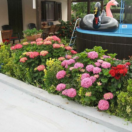 Apartments Adelita Porec Exterior photo