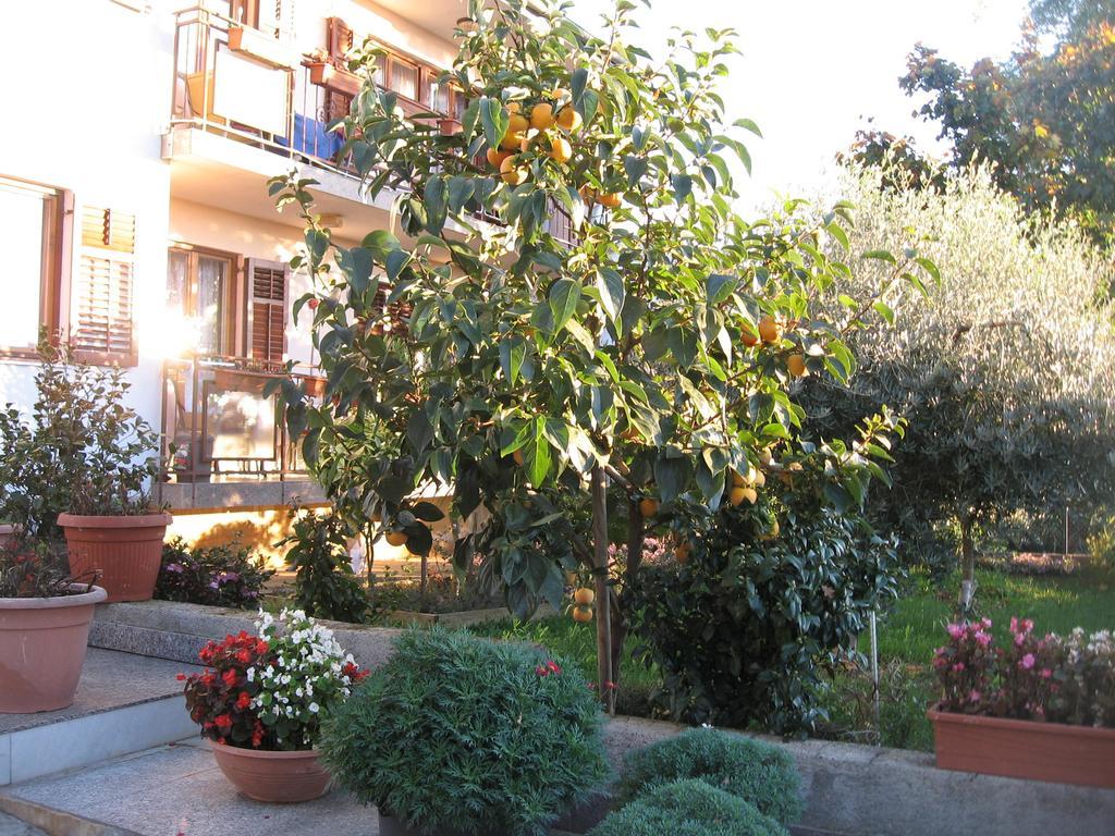 Apartments Adelita Porec Exterior photo