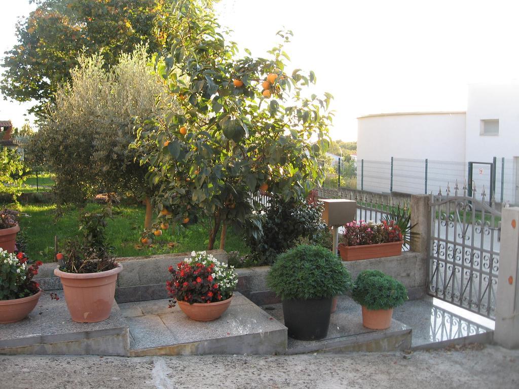 Apartments Adelita Porec Exterior photo
