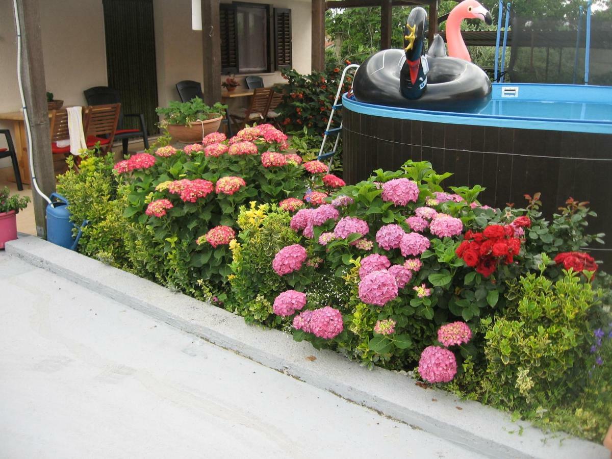 Apartments Adelita Porec Exterior photo
